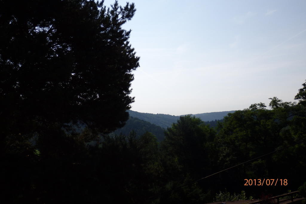 Villa Blanka Horní Podkozí Esterno foto