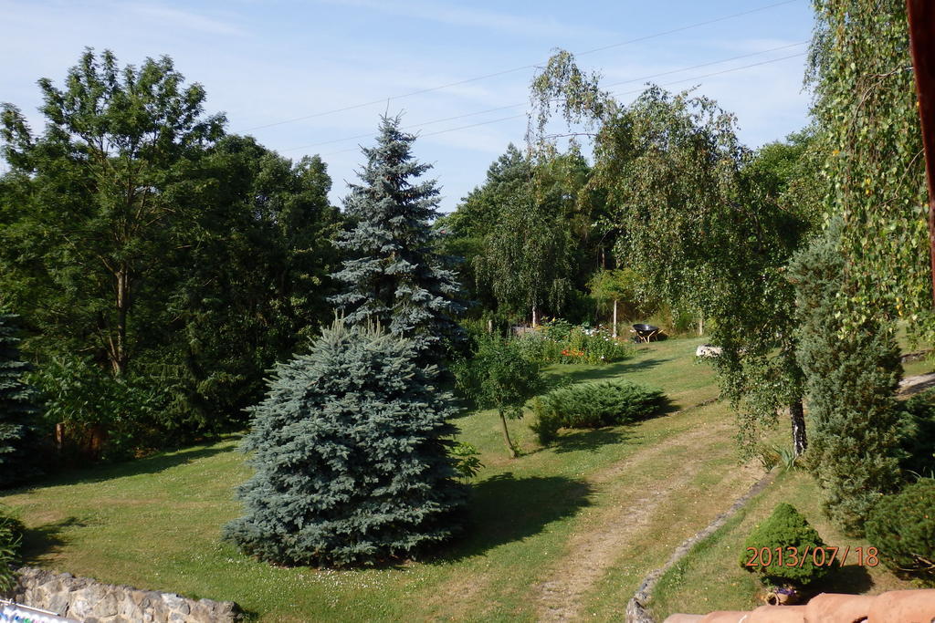 Villa Blanka Horní Podkozí Esterno foto