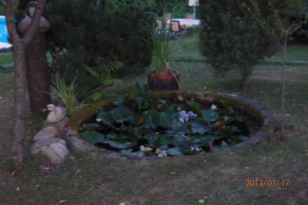 Villa Blanka Horní Podkozí Esterno foto
