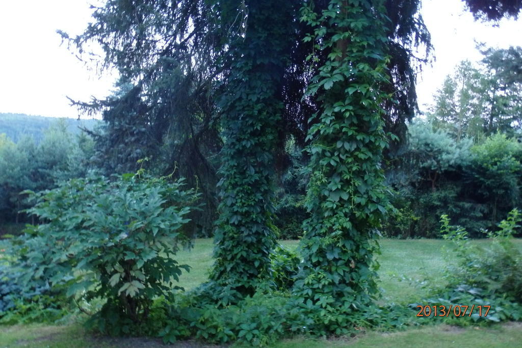 Villa Blanka Horní Podkozí Esterno foto