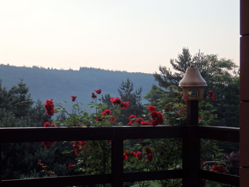 Villa Blanka Horní Podkozí Esterno foto