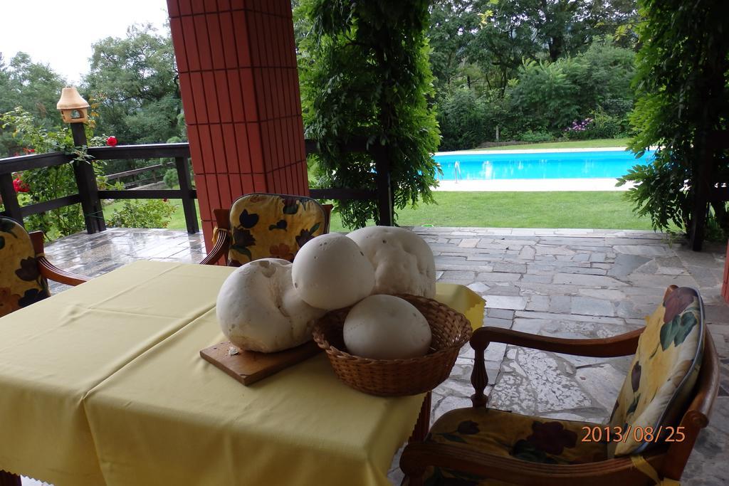 Villa Blanka Horní Podkozí Esterno foto