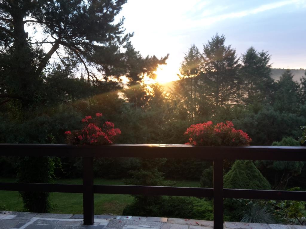 Villa Blanka Horní Podkozí Esterno foto