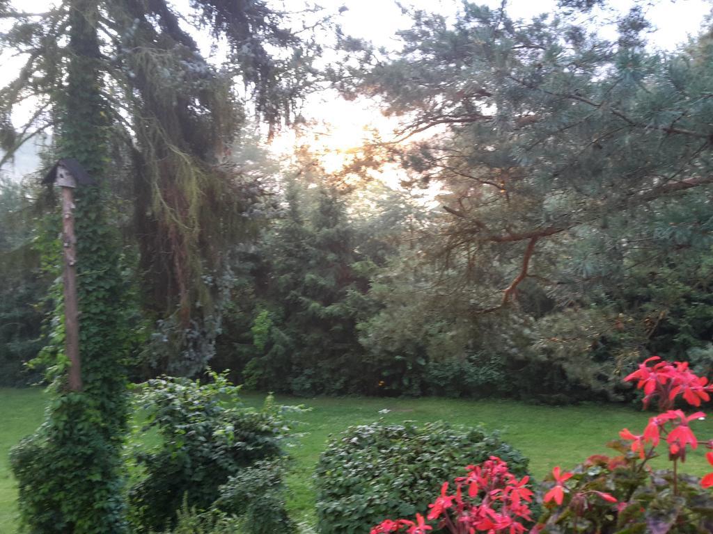 Villa Blanka Horní Podkozí Esterno foto