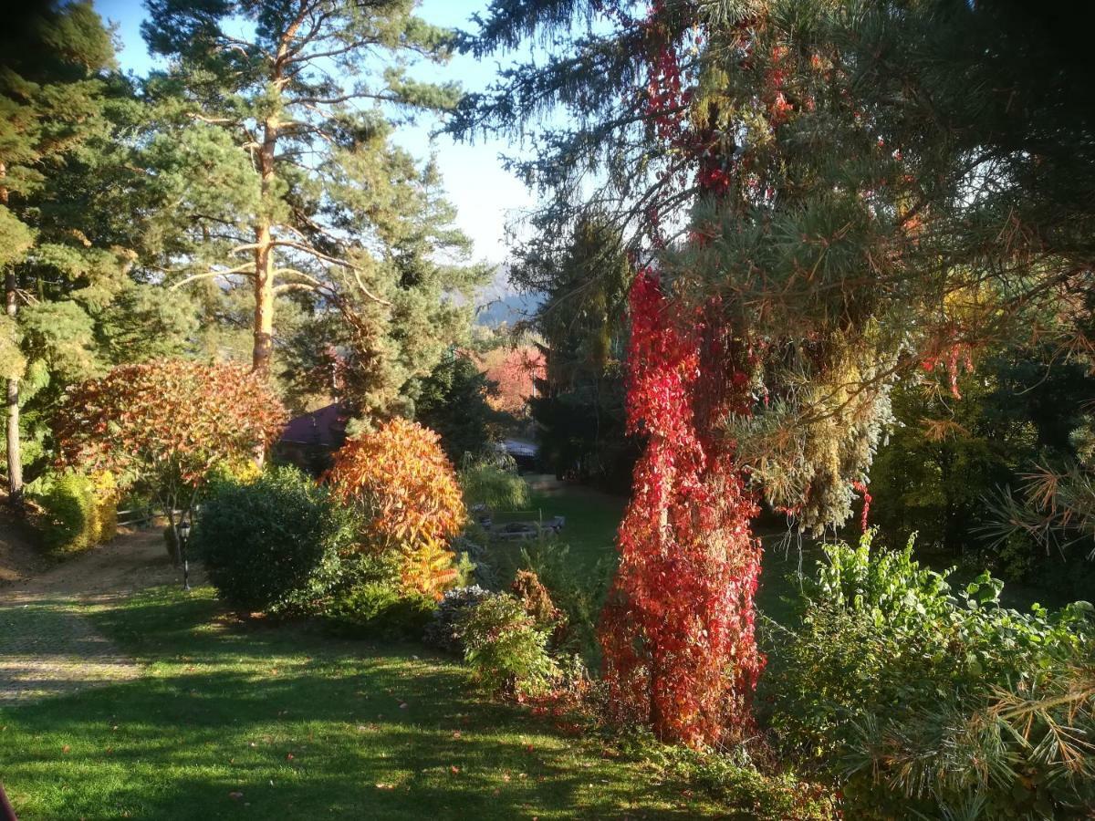 Villa Blanka Horní Podkozí Esterno foto